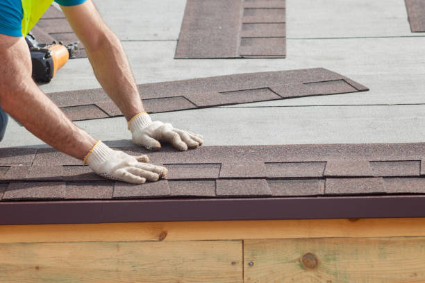 Best Roof Leak Repair  in Seven Mile, AZ